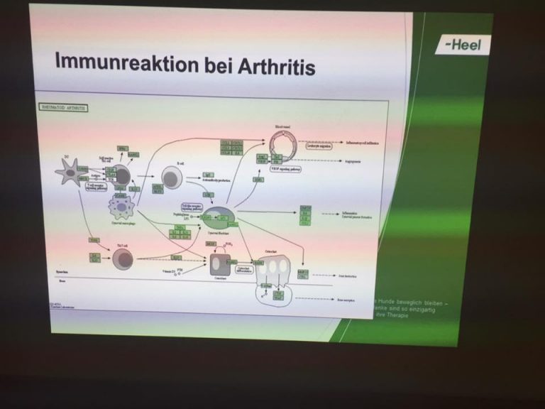 Medizinisches Tierarztpraxis im Koelle Zoo