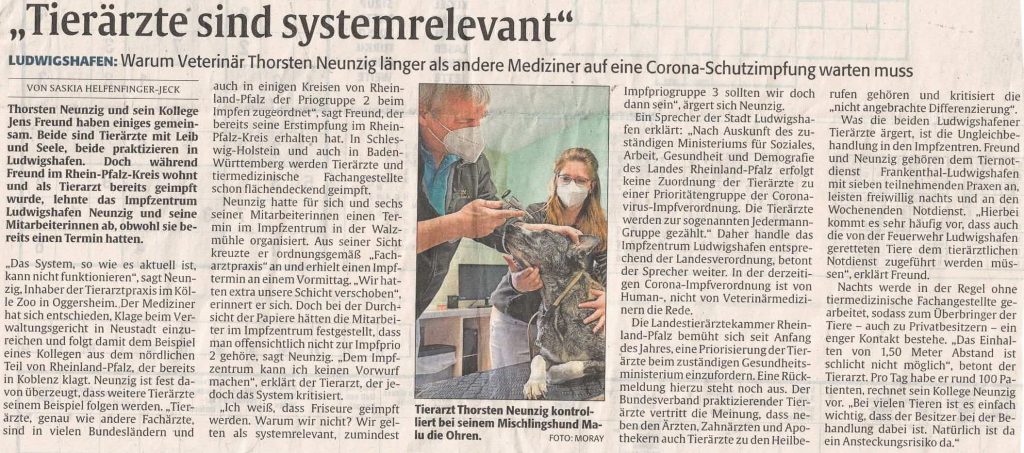 Allergien bei Hund und Katze Tierarztpraxis im Koelle Zoo