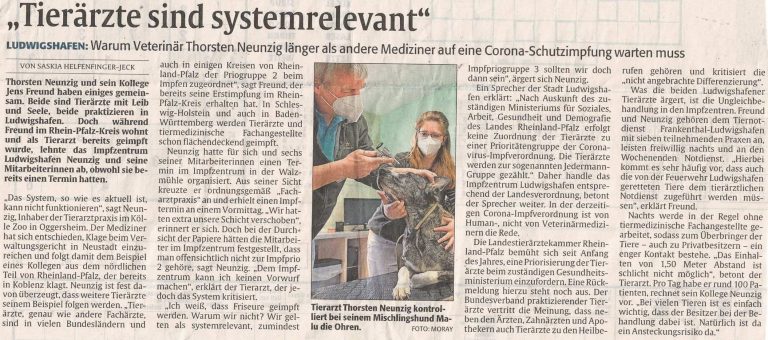 Allergien bei Hund und Katze Tierarztpraxis im Koelle Zoo